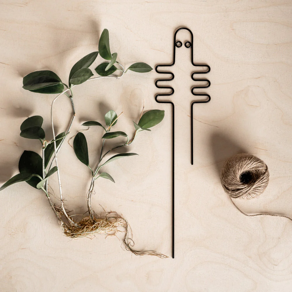 Hattifattener Plant Support - Image 3