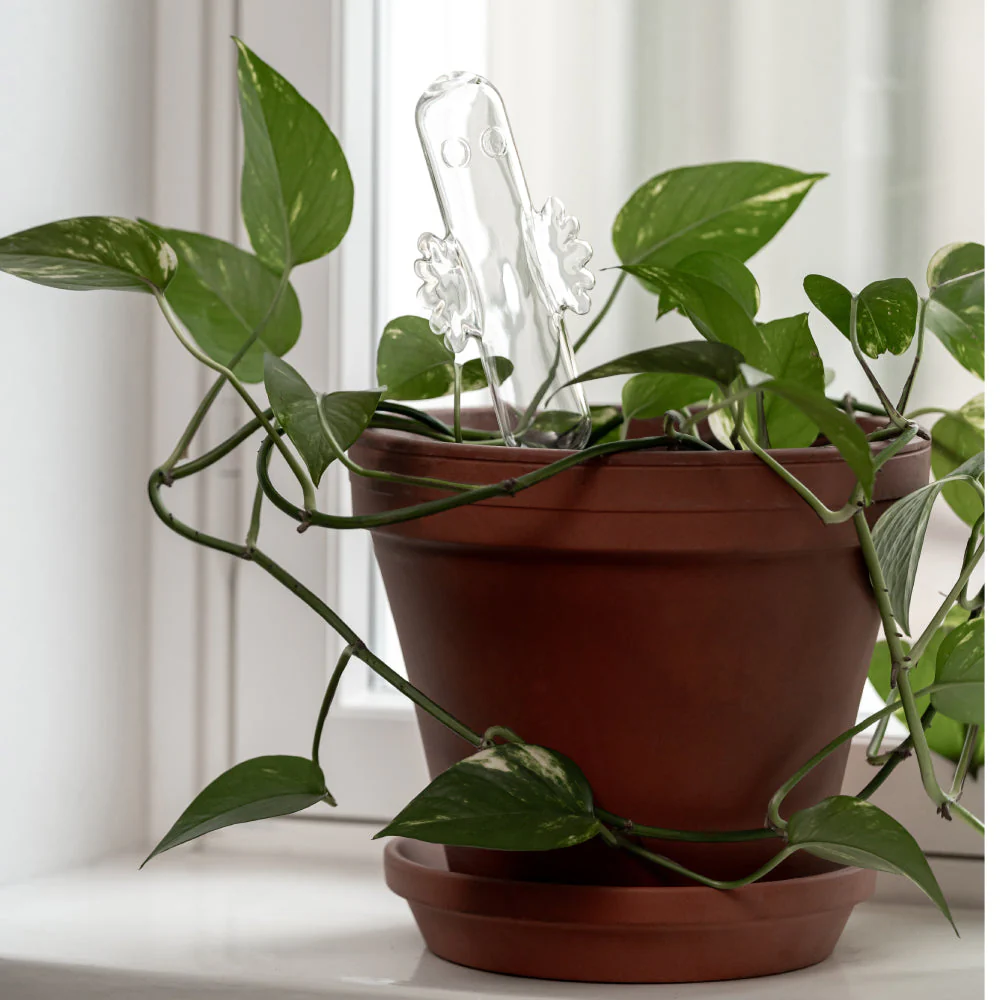 Hattifattener Watering Bulb 30cm - Image 4