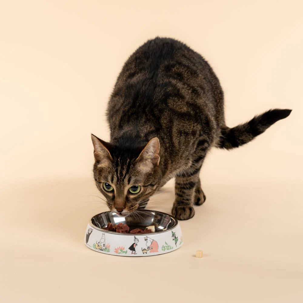 Moomin For Pets Food Bowl White XS - Image 5