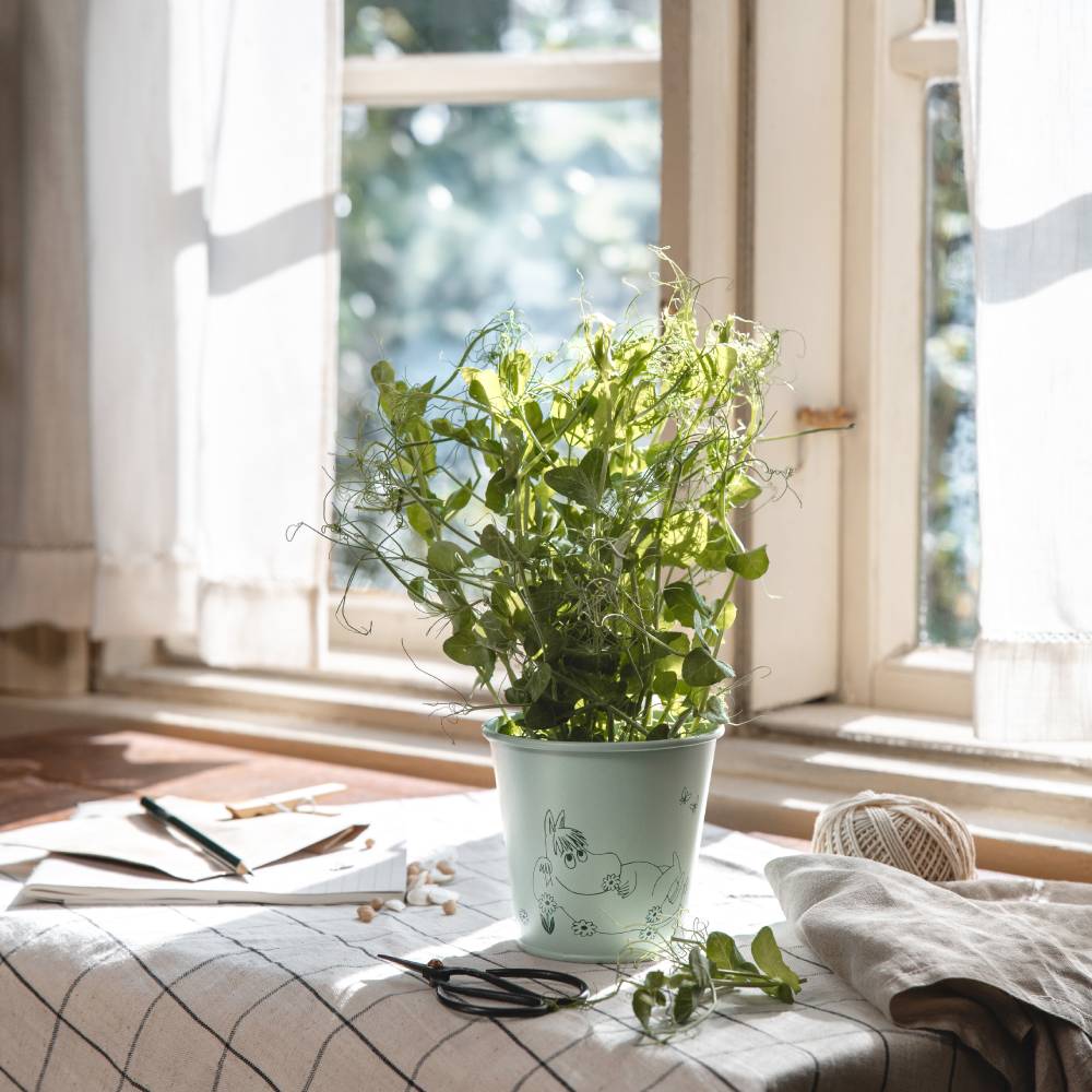 Moomin Gardenia Flower Pot 11cm Green