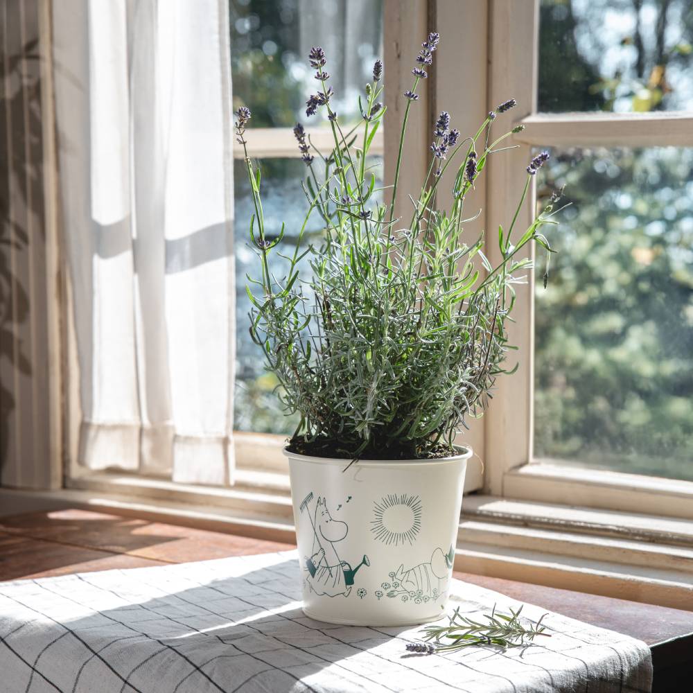 Moomin Gardenia Flower Pot 16cm White