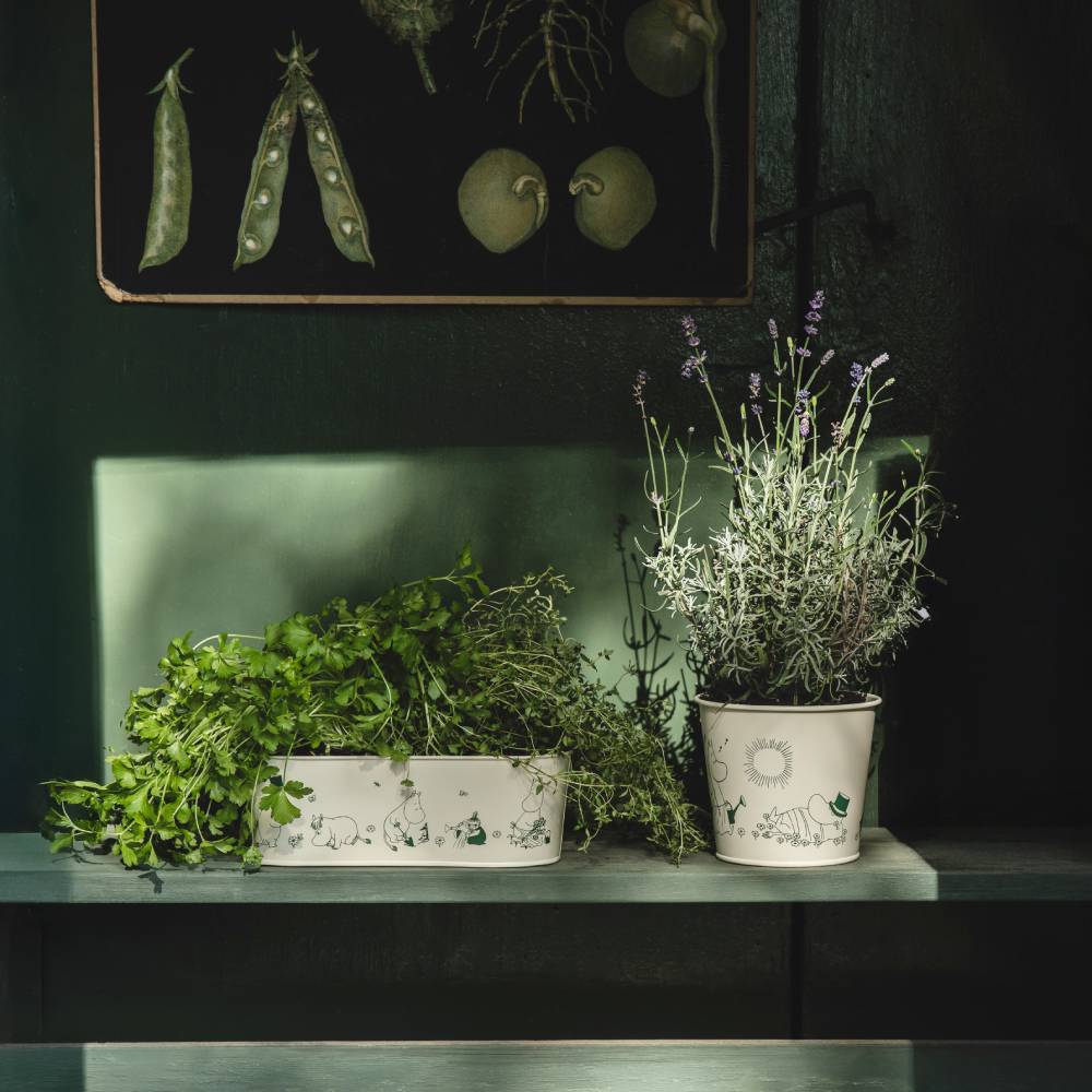 Moomin Gardenia Pots Bundle